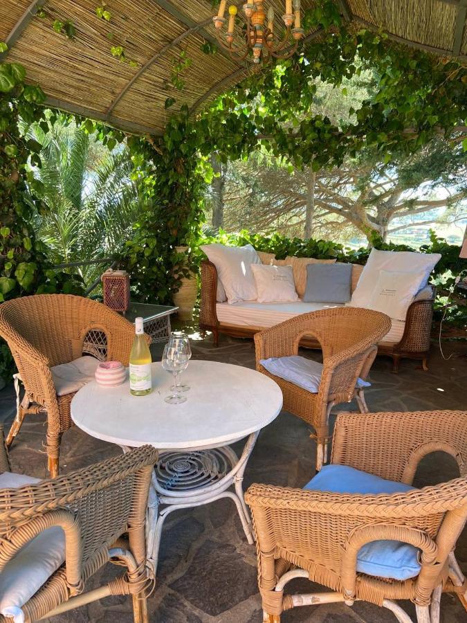 B&B Villa Il Poggetto Venturina Terme Extérieur photo