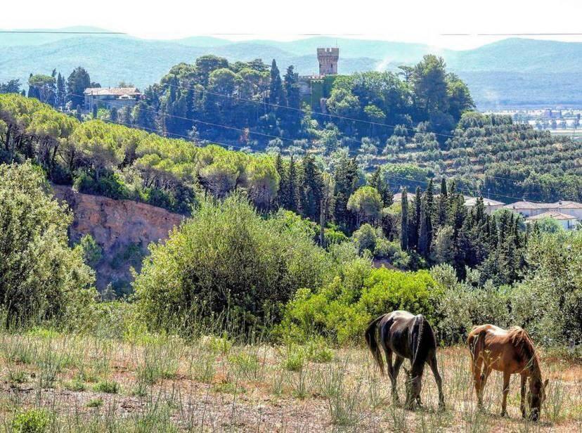 B&B Villa Il Poggetto Venturina Terme Extérieur photo