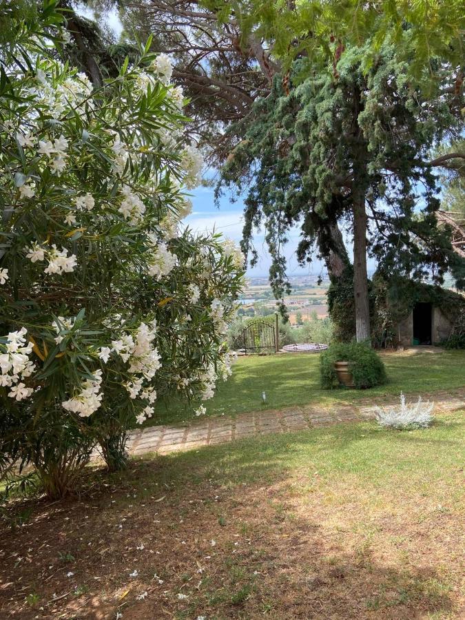 B&B Villa Il Poggetto Venturina Terme Extérieur photo