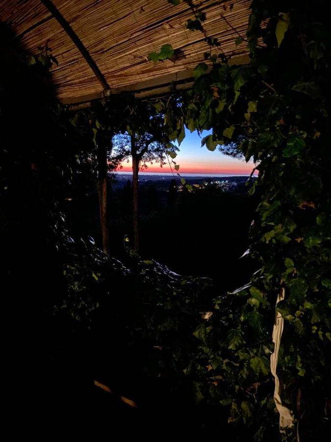 B&B Villa Il Poggetto Venturina Terme Extérieur photo