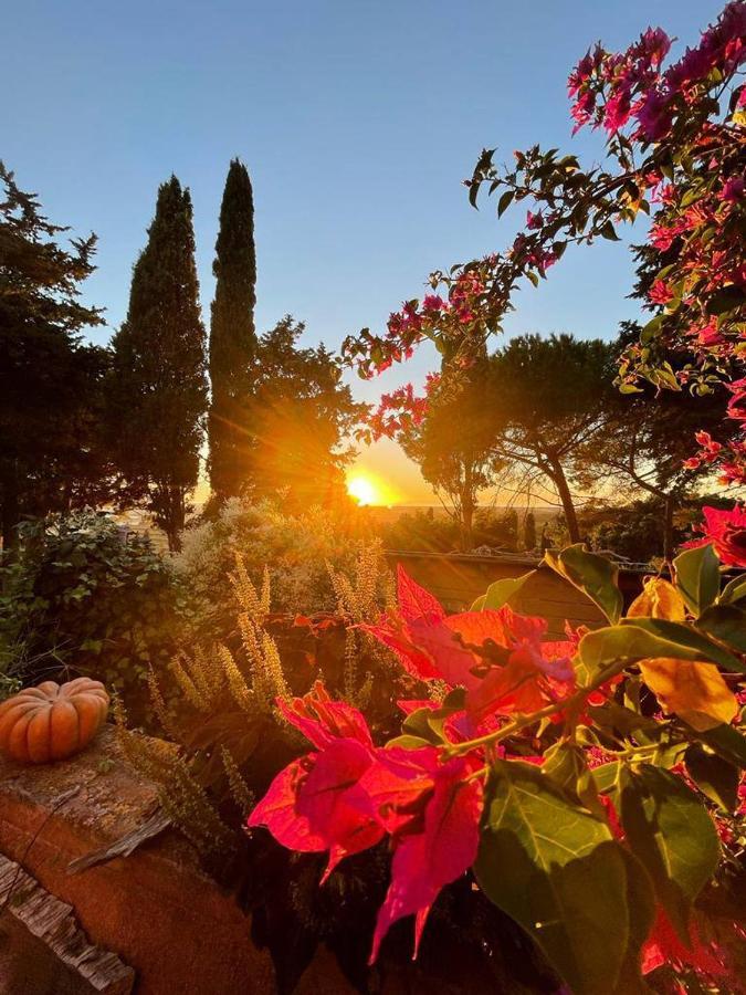 B&B Villa Il Poggetto Venturina Terme Extérieur photo