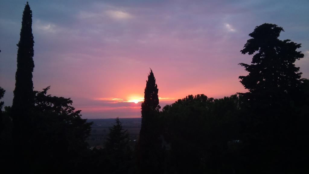 B&B Villa Il Poggetto Venturina Terme Extérieur photo