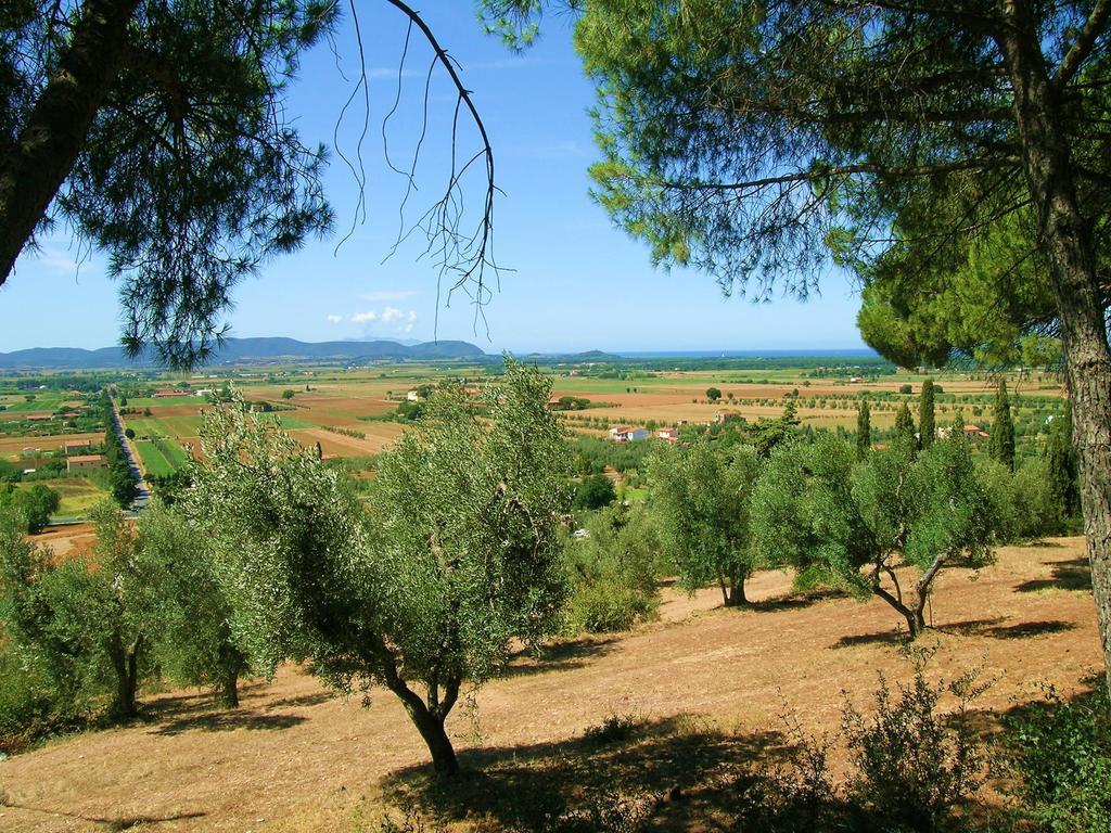 B&B Villa Il Poggetto Venturina Terme Extérieur photo